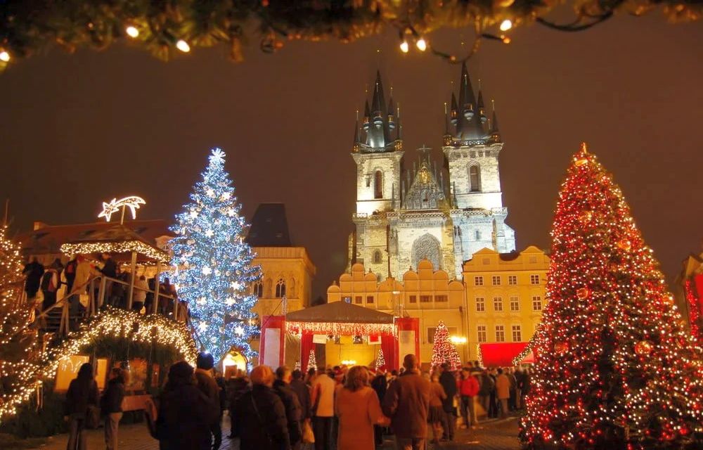 Medvědí tour po Vánočních trzích / Bear Christmas market tour