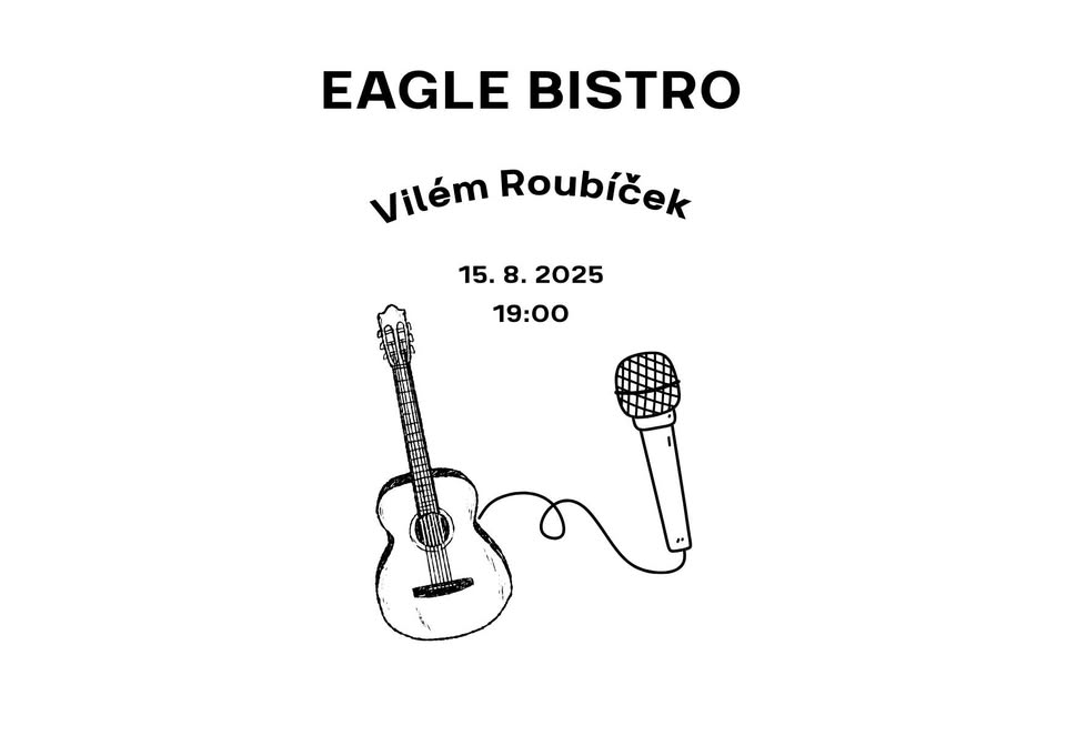 🎶 Vilém Roubíček – kytara & zpěv 🎶
