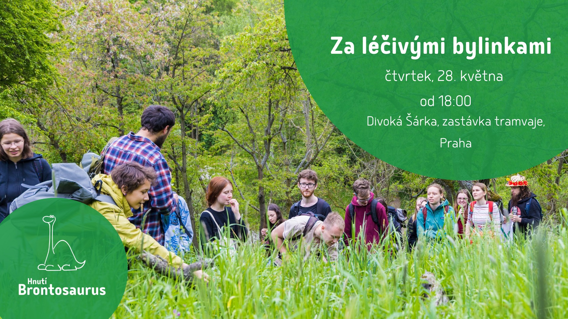 Za kouzelnými bylinkami
