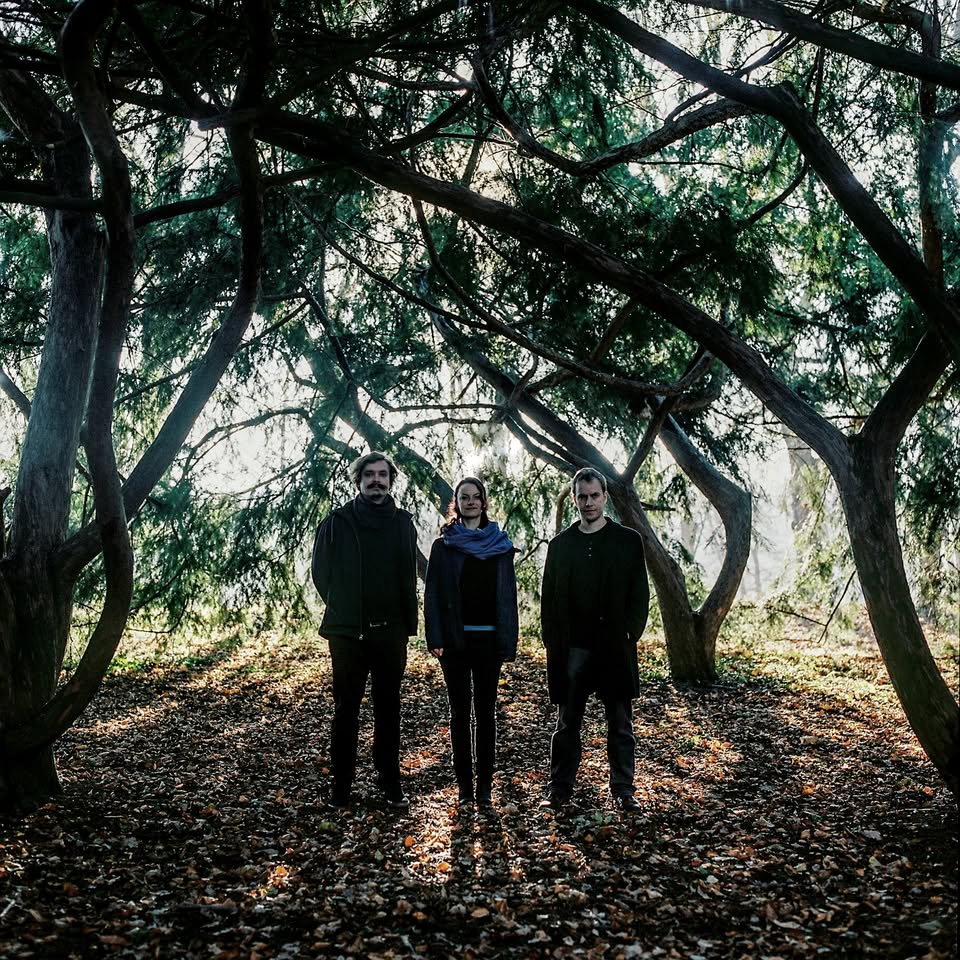 CERMAQUE trio | Člověk krve