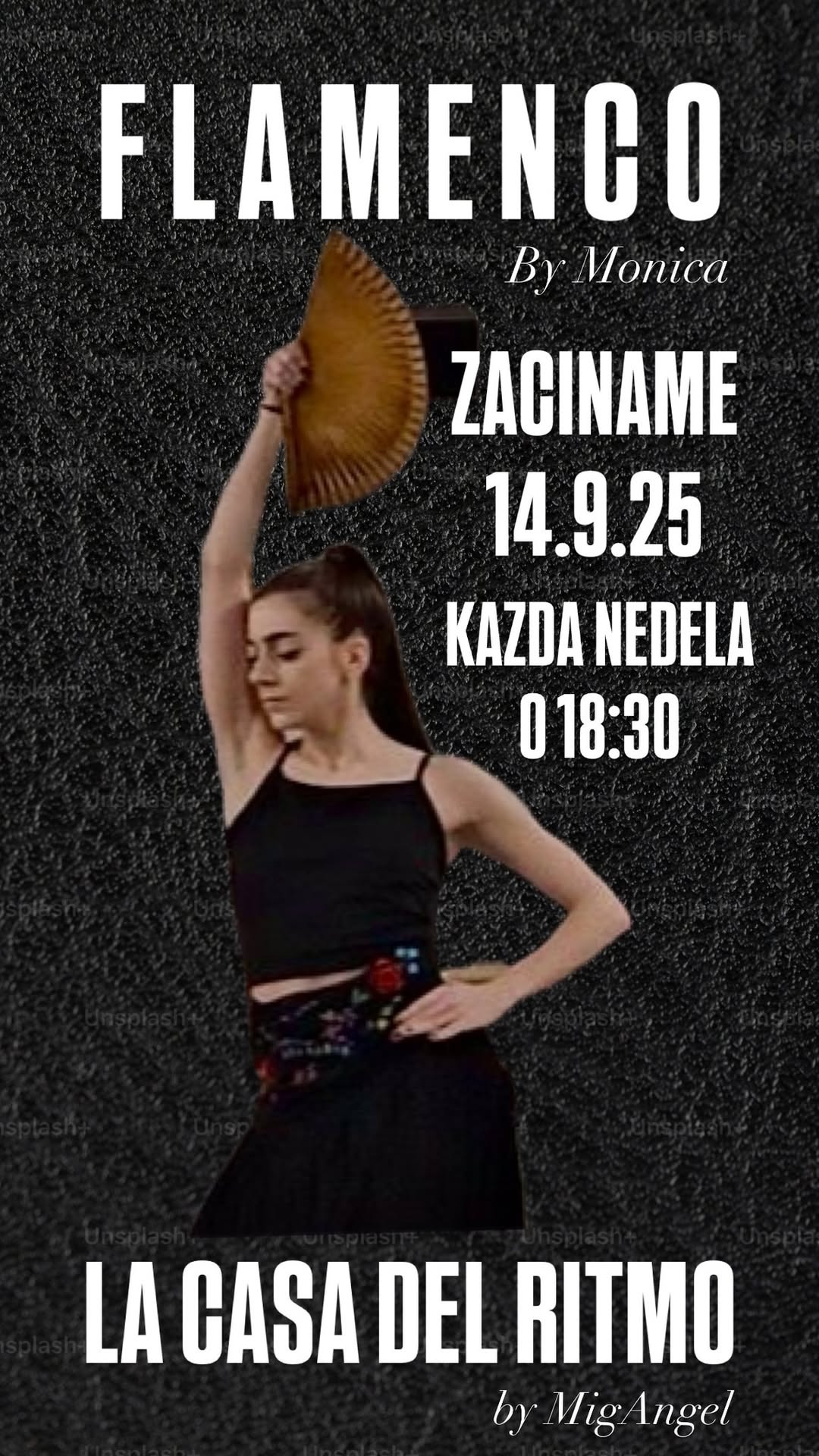 FLAMENCO 💃🏽🇪🇸