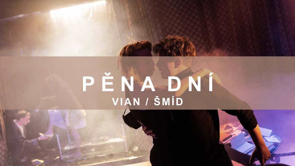 PĚNA DNÍ / Vian, Šmíd