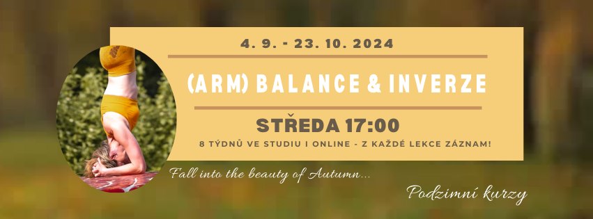 (ARM)BALANCE & INVERZE