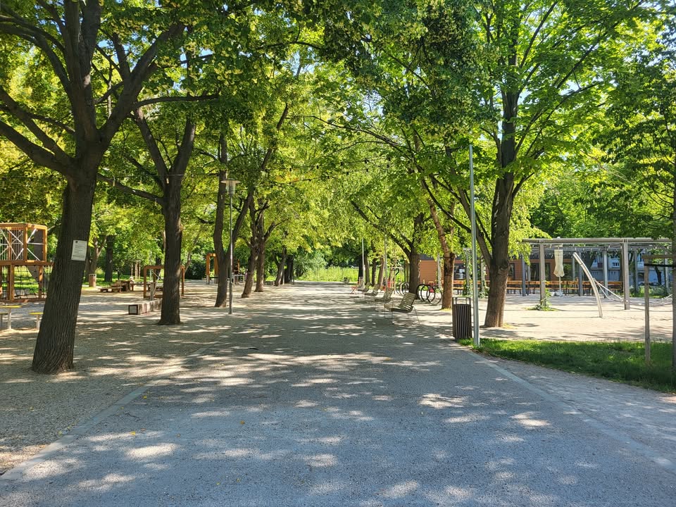 Knižnica v parku 🌳