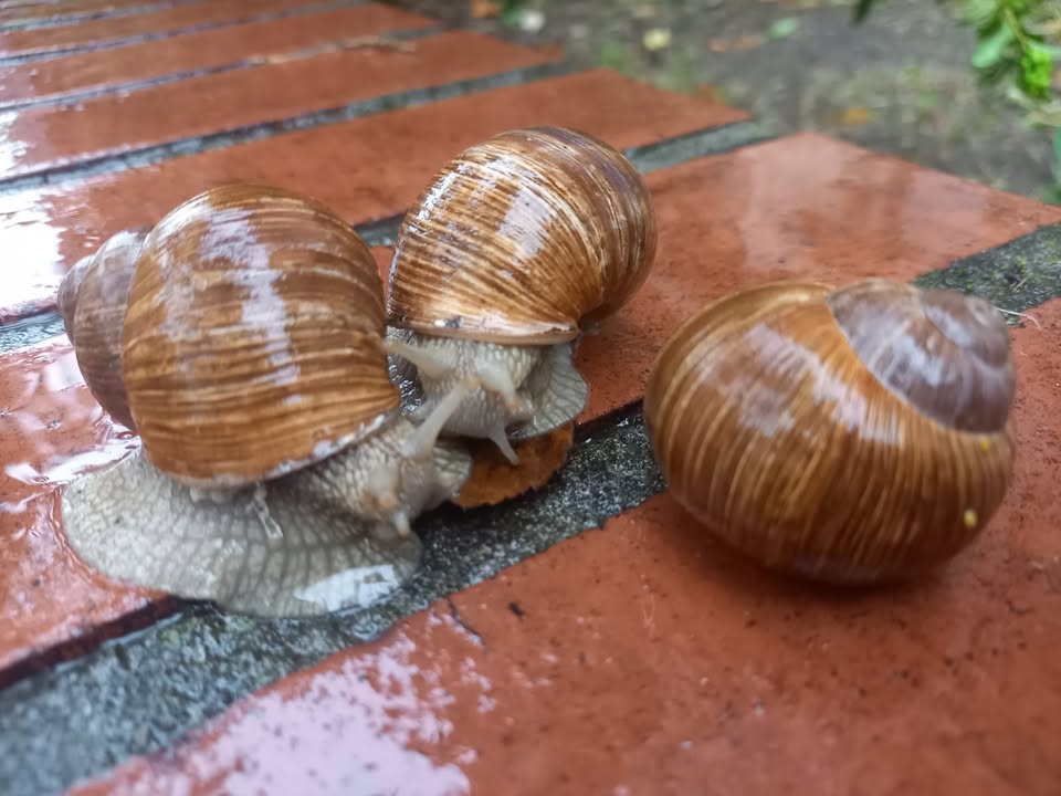 Tag der Hochsensibilität