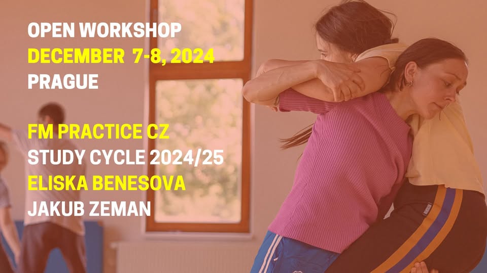 Open Workshop December - FM Practice CZ