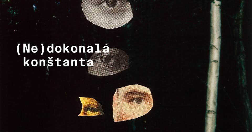 (Ne)dokonalá konštanta  - performance