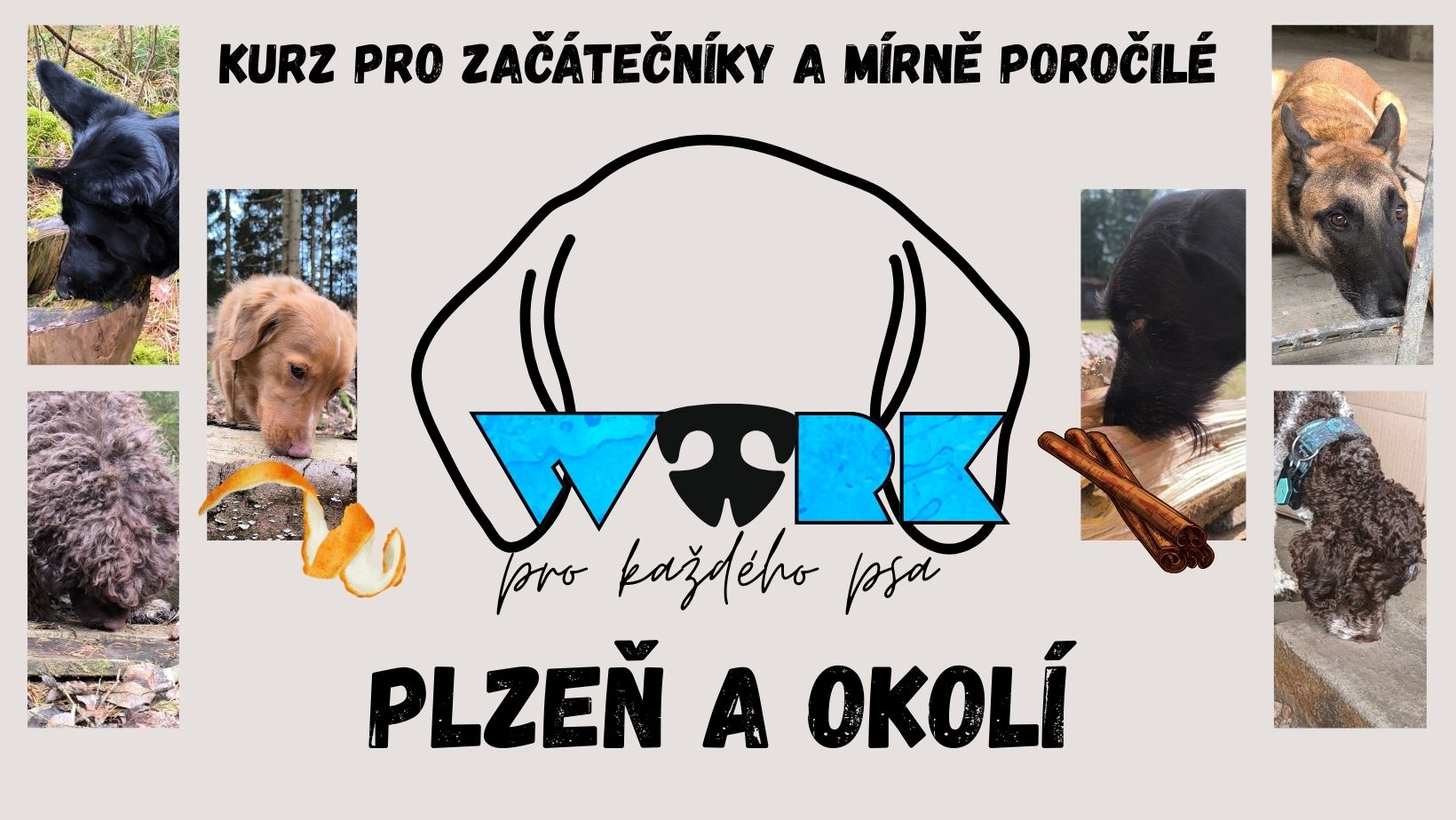 Nosework pro každého psa - Kurz pro začátečníky a mírně poročilé - Plzeňsko