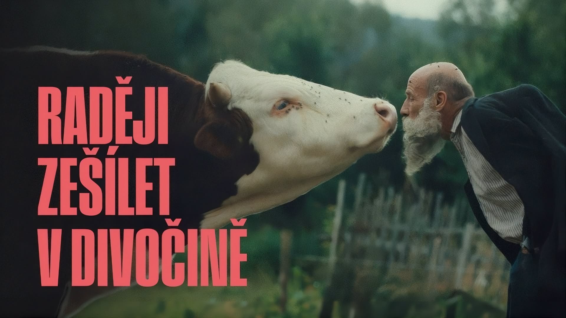 Kino v Komunitnej záhrade na suti: Raději zešílet v divočine