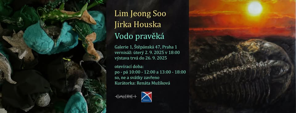 VERNISÁŽ VÝSTAVY  → LIM JEONG SOO A JIRKA HOUSKA → VODO PRAVĚKÁ