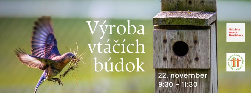 Výroba vtáčích búdok