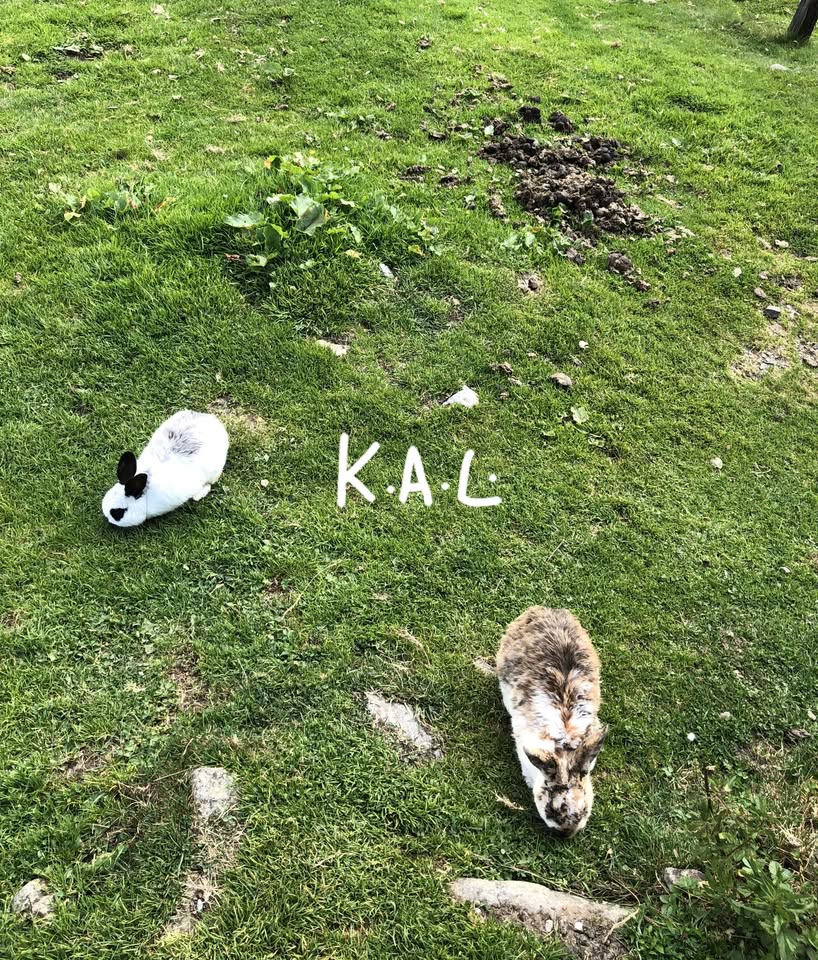 K.a.L. a piknik a červen LP 2025