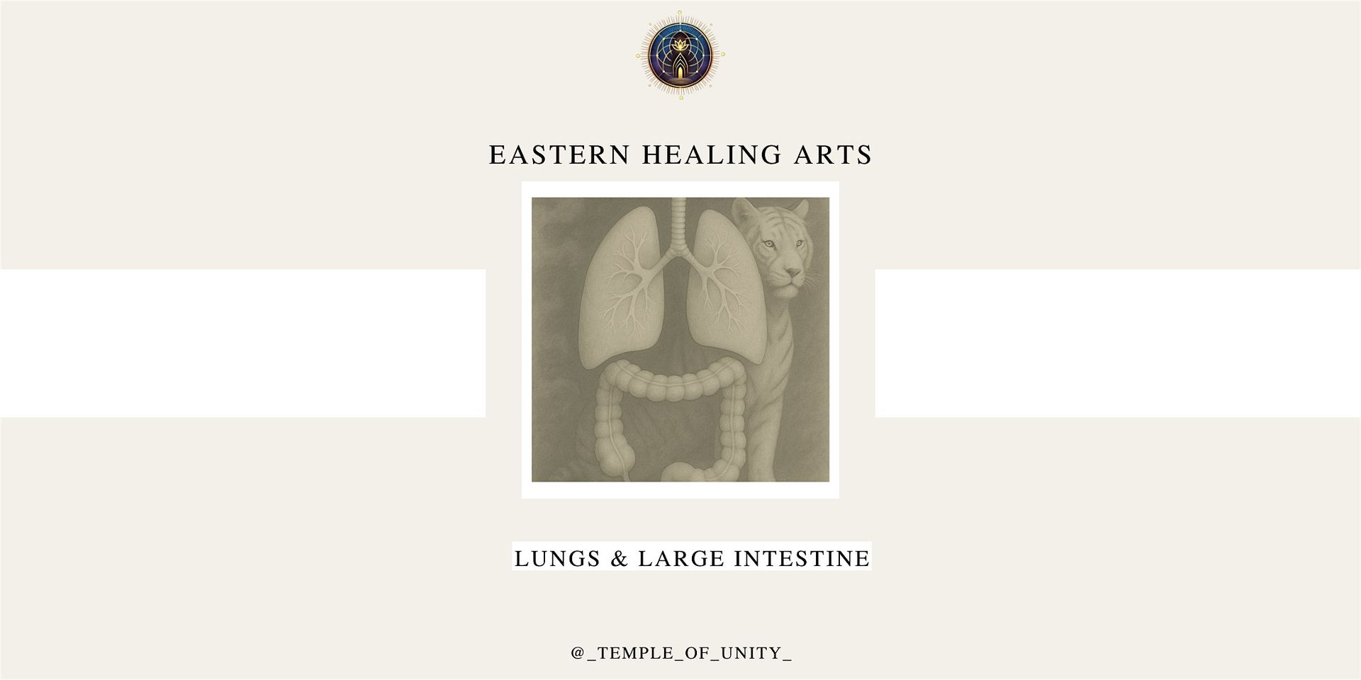 Eastern Healing Arts - Element Metal - Lungs & Large Intestine