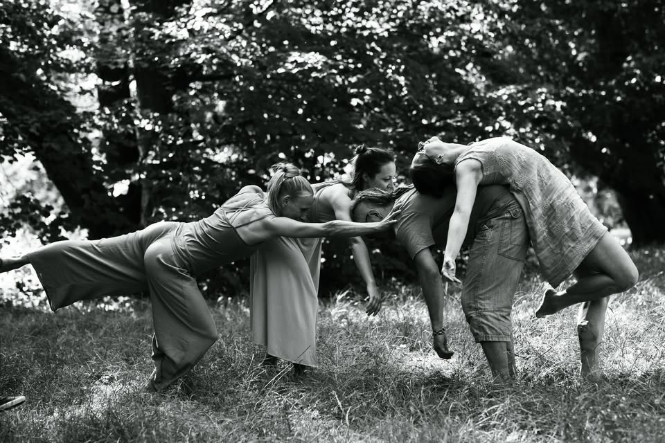Hledáme (ne)tanečníky do choreografického cyklu DanceAbility