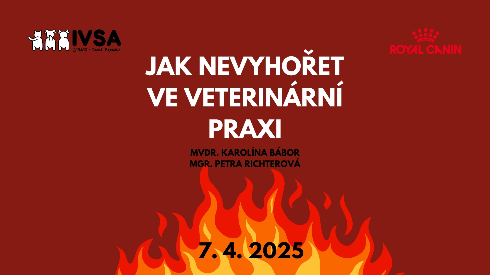 Jak nevyhořet ve veterinární medicíně
