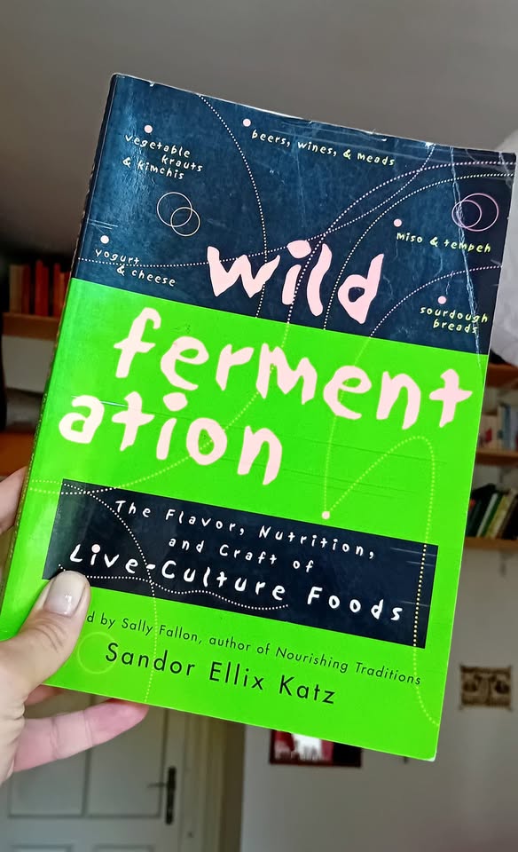 Fermentation Basics w/ Lenka Kubelová