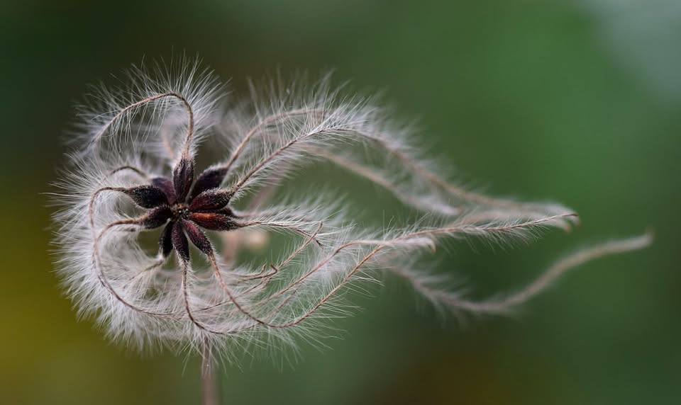 Tréning stabilizačných a relaxačných techník, mindfulness.