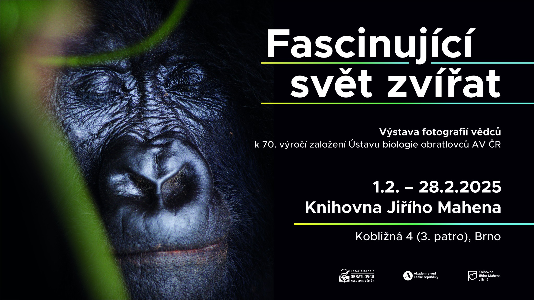 Výstava „Fascinující svět zvířat“ je opět v Brně!