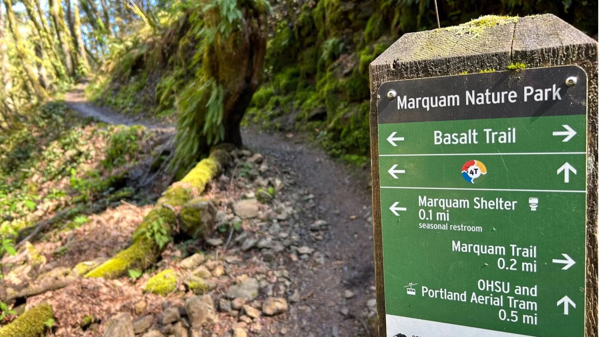 Runventure Time - Marquam Nasty (Trail Series Run in Forest Park)