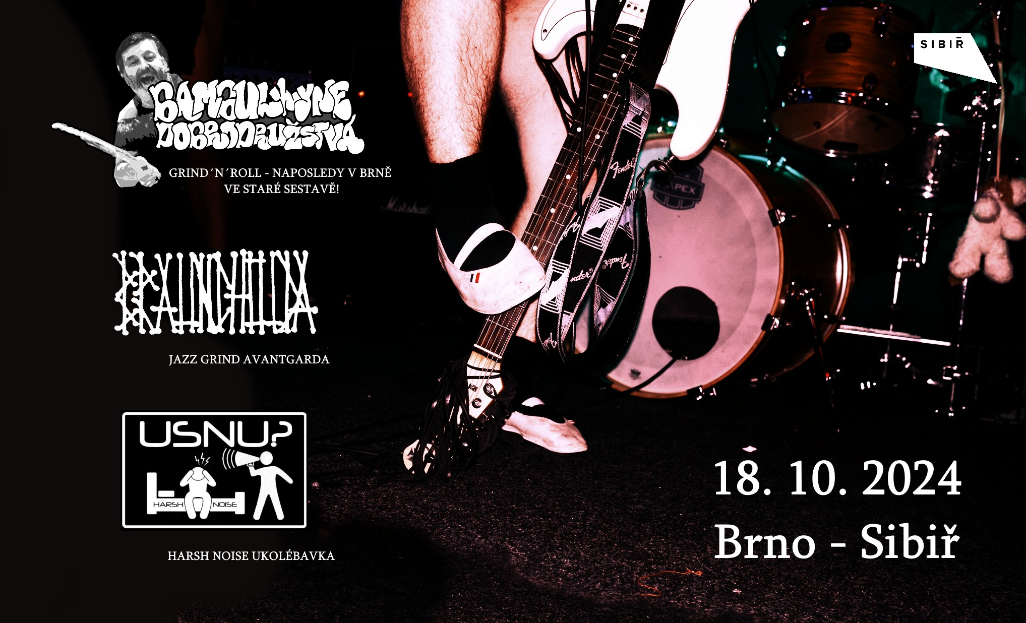 Bambulkyne Dobrodružstvá // Brauncholda // Usnu?