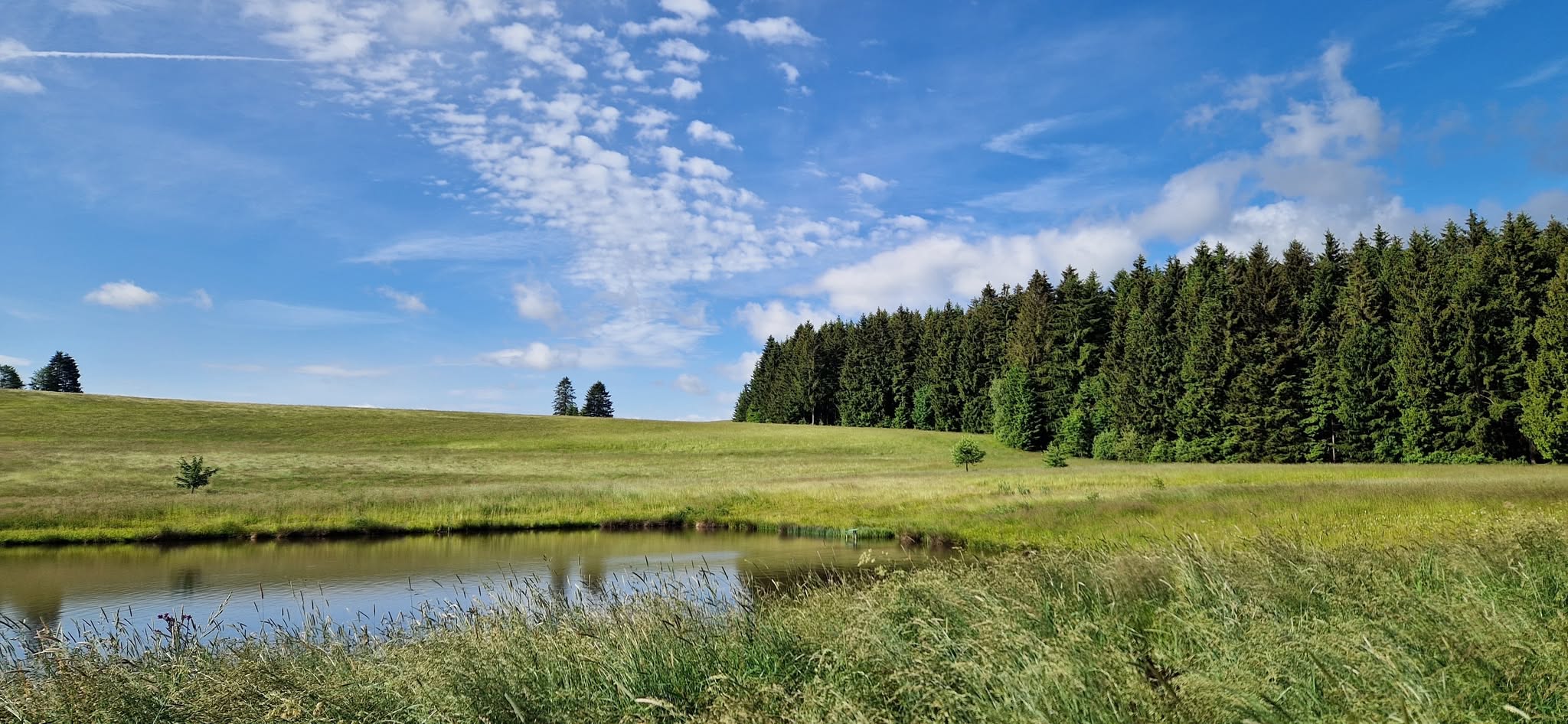 Lubi a Leni robia tábor