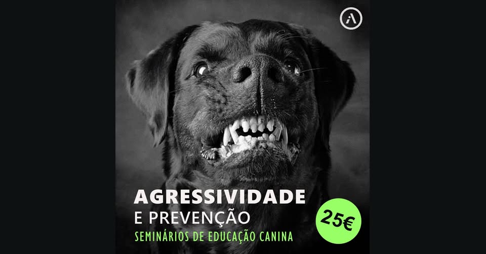 Agressividade e prevenção