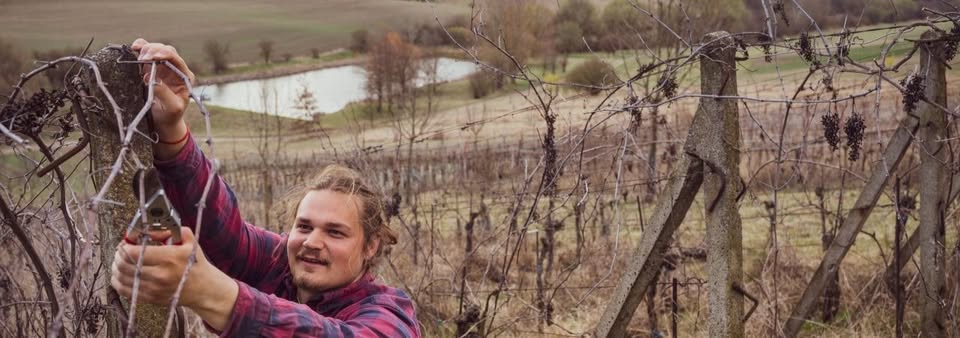 Setkání příznivců v Brně | Vinohrad plný života
