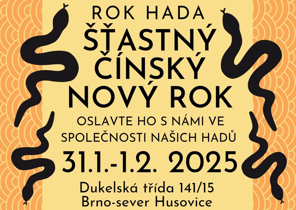 Čínský nový rok hada