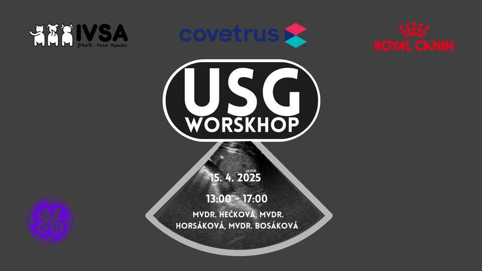 Ultrasonografický workshop