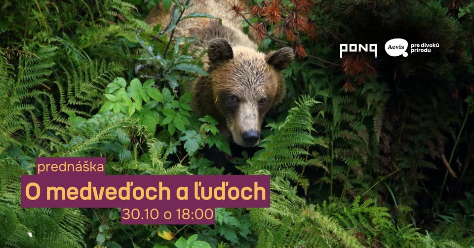 O medveďoch a ľuďoch