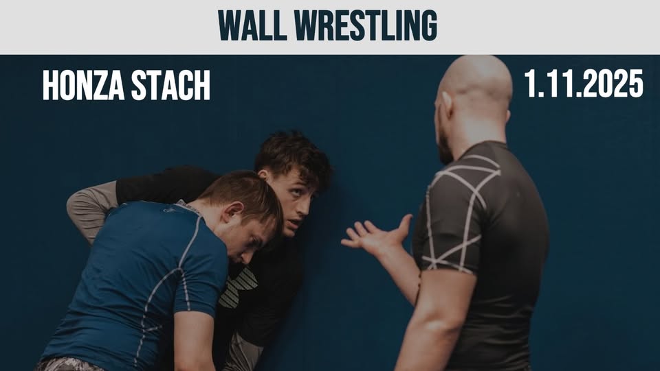 Wall Wrestling ve SWAGU