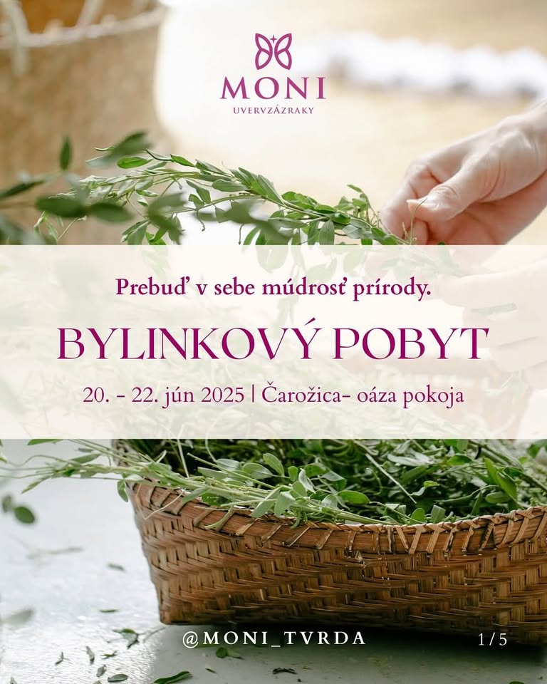 BYLINKOVÝ POBYT