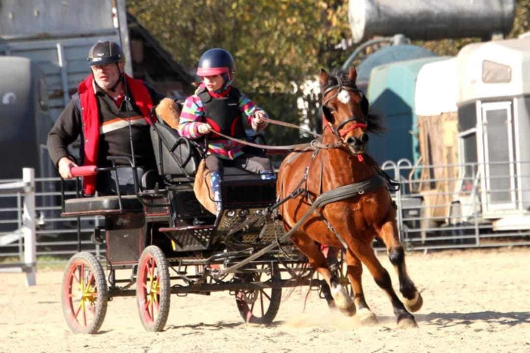 Mikulášské hobbíčka spřežení