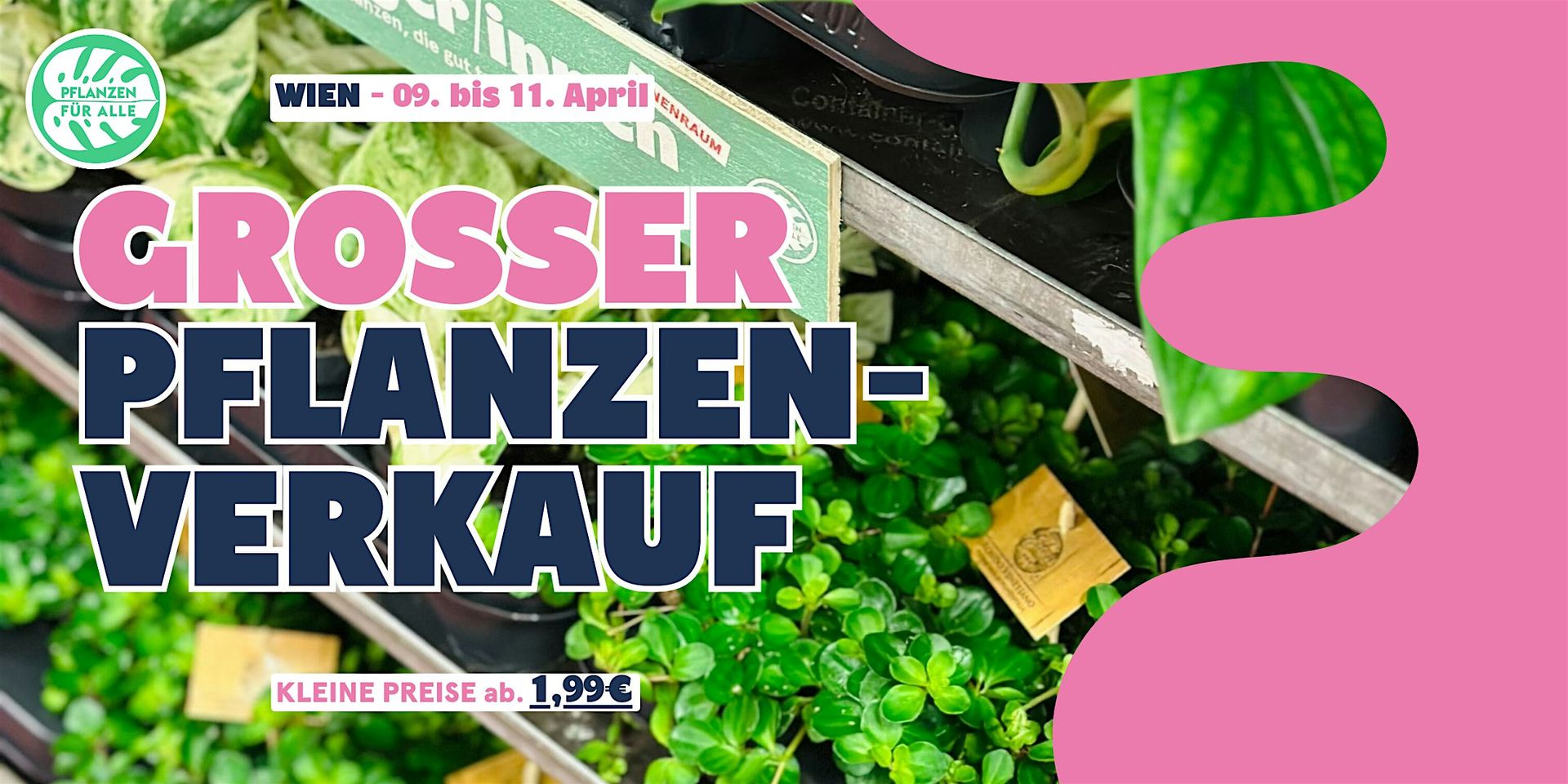 Großer Pflanzenverkauf - Wien