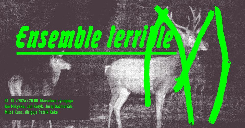 M – koncert Ensemble Terrible v Maiselově synagoze