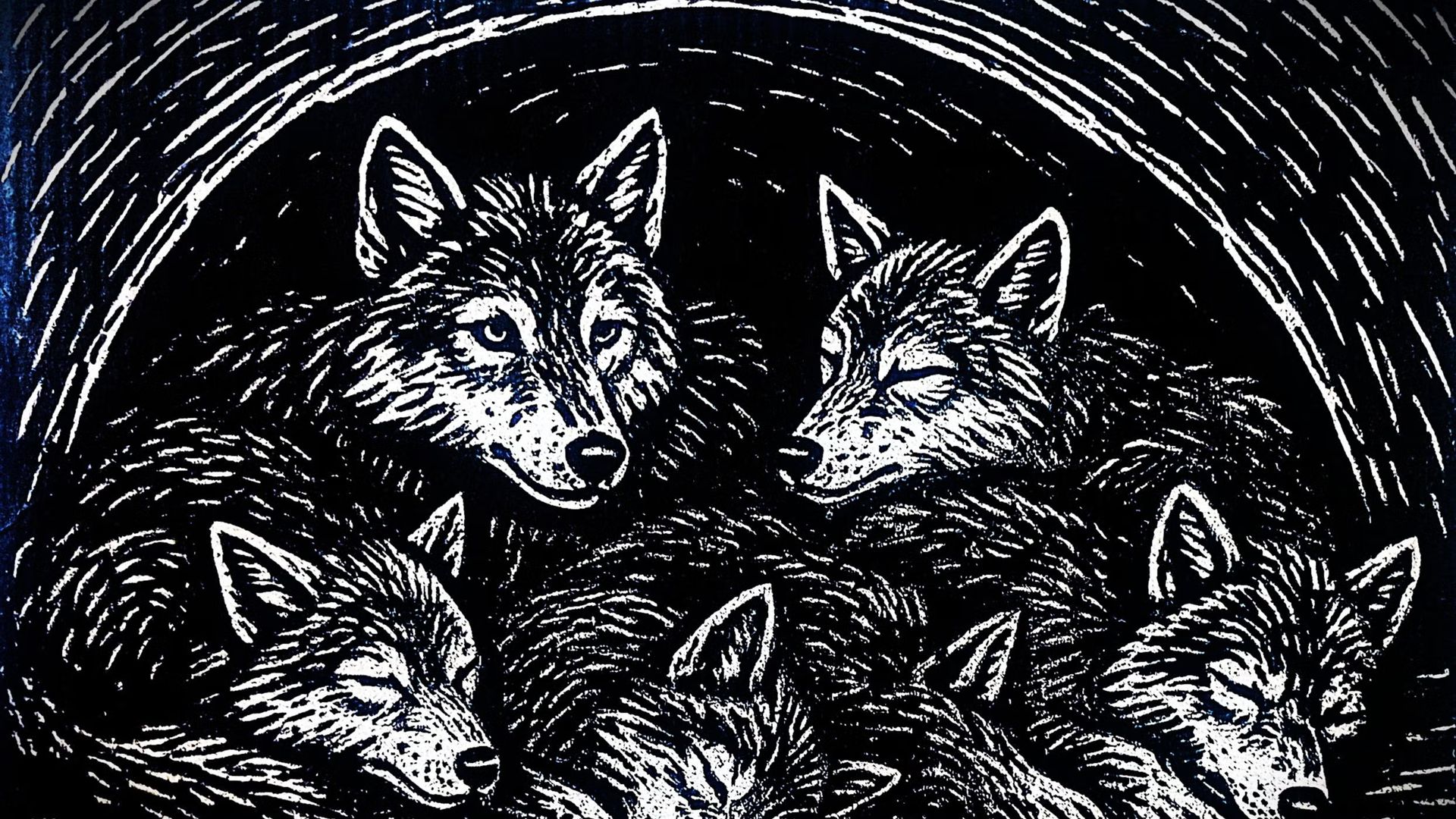 Wolf Huddle – monthly circle (live)