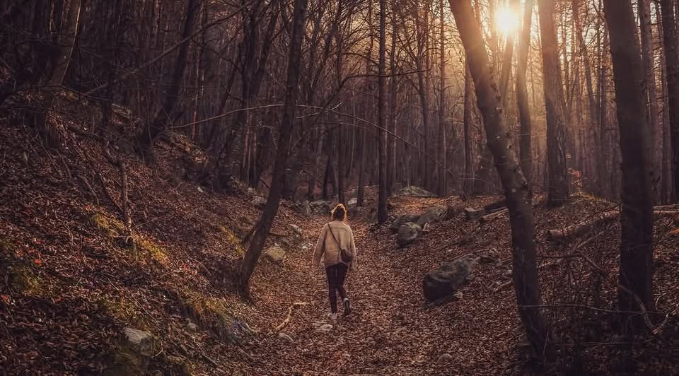 ✨ISKRA✨ Turistika: Plavecké Podhradie - Jelenia hora