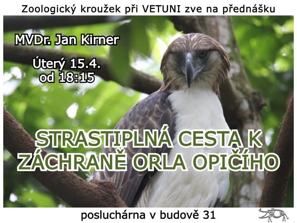 Strastiplná cesta k záchraně orla opičího
