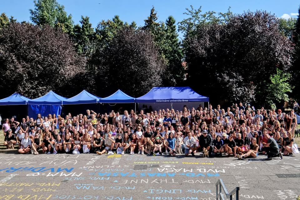 Welcome Days pro nové studenty a studentky VETUNI