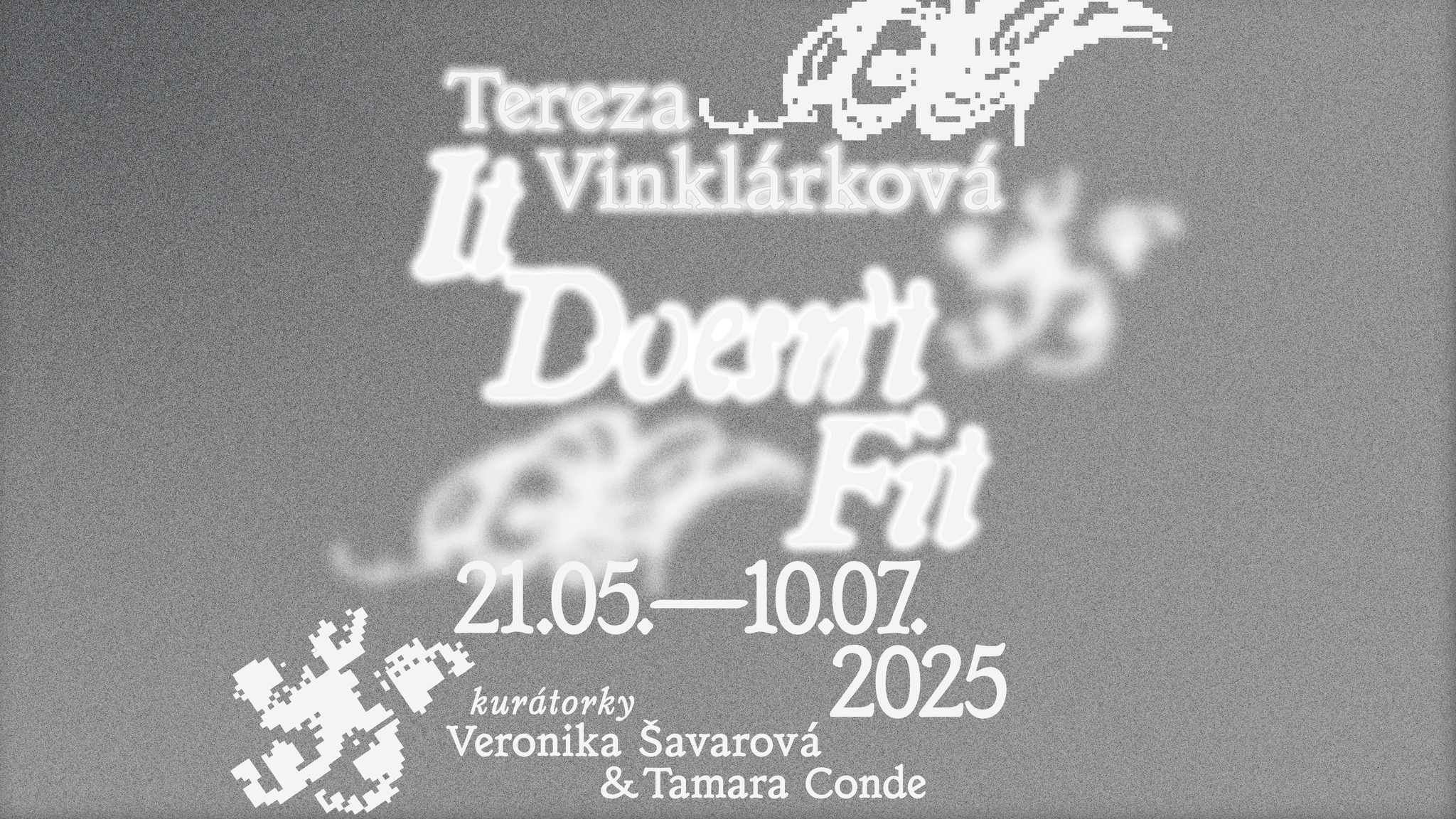 Tereza Vinklárková / It Doesn't Fit