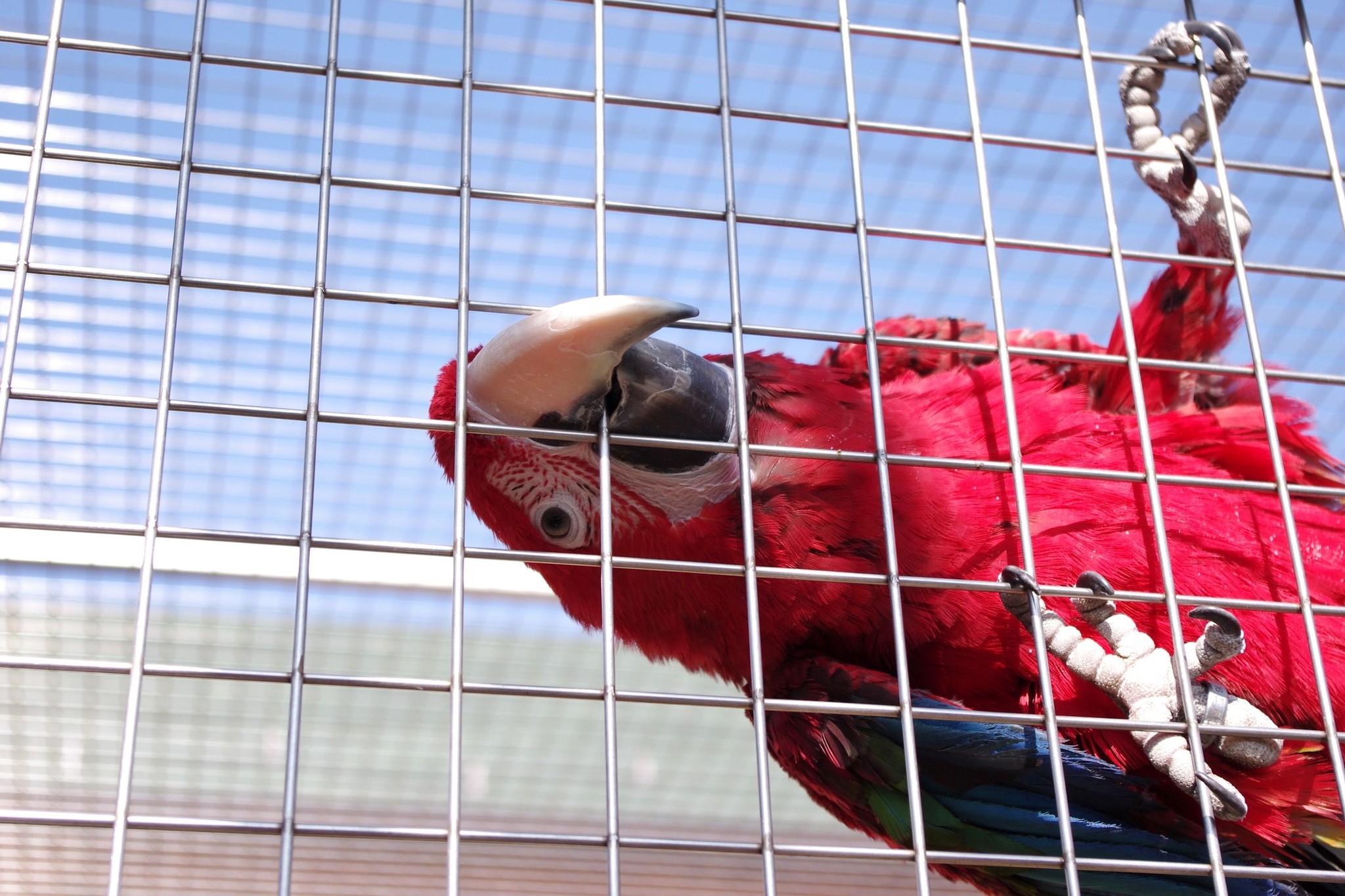 Papouščí zoo Bošovice degustace vína Dambořice Seznamovací skupinový výlet Brno zdarma výšlap výstup