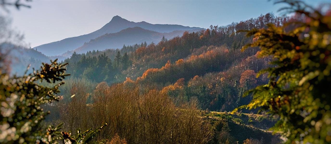 TREKKING PARQUE NATURAL DEL MONTSENY