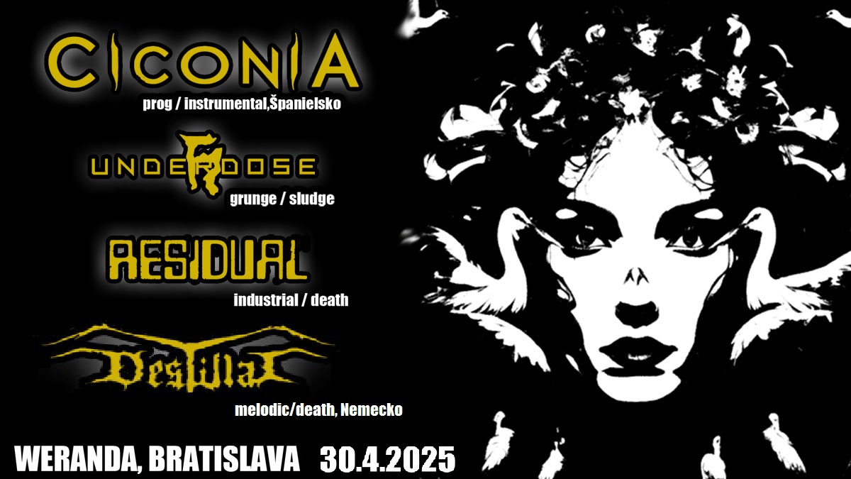 CICONIA/ESP/ -- DESTILLAT/DE/ -- UNDERDOSE -- RESIDUAL