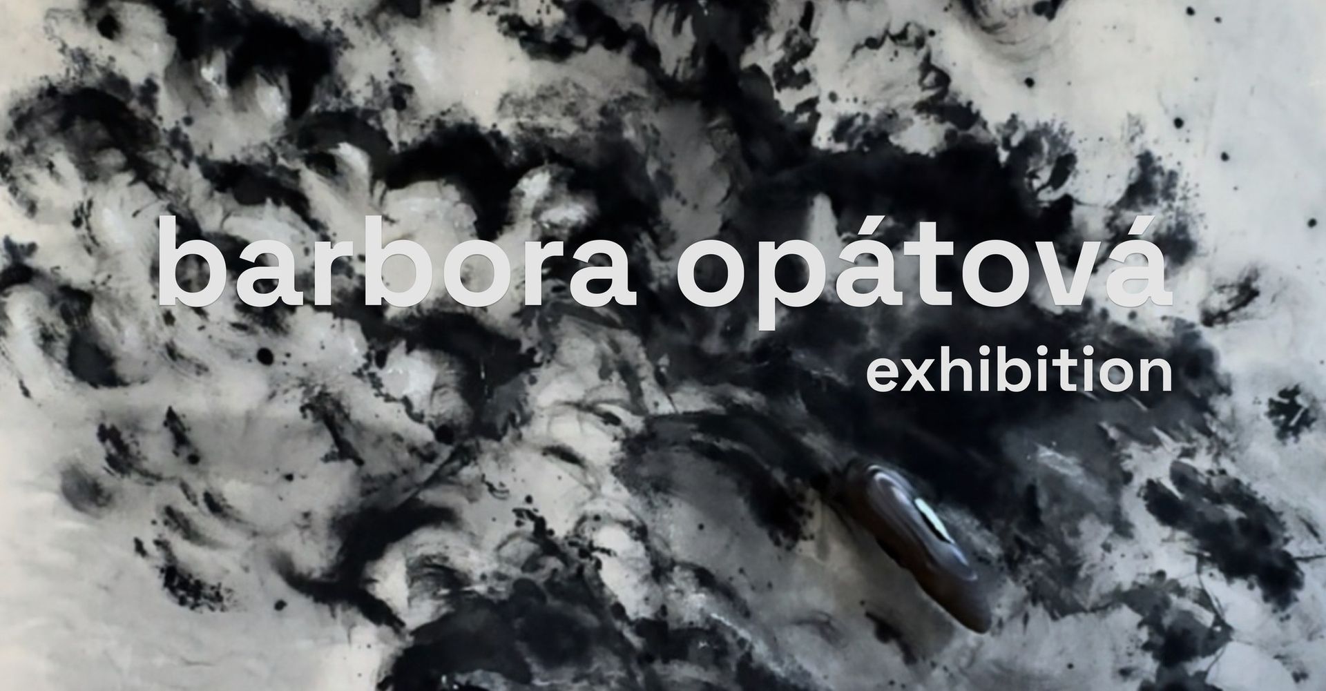 Barbora Opátová Exhibition Opening
