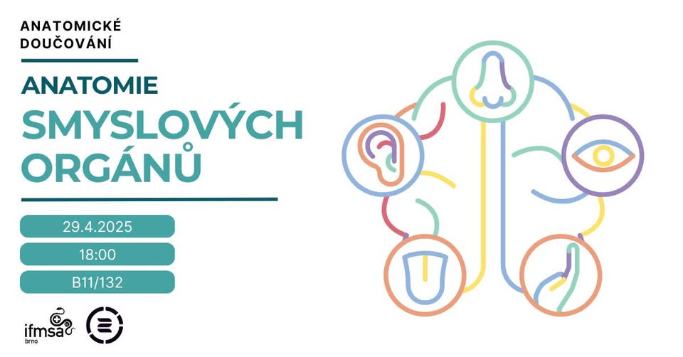 Anatomické doučování - anatomie smyslových orgánů