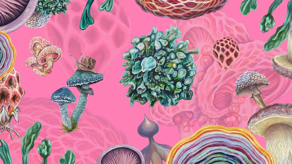 Painting Mushrooms 🍄 with artist Irene Antonez