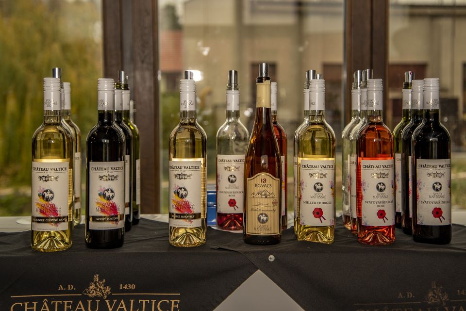 Svatomartinská degustace na Vinařské stodole 2024