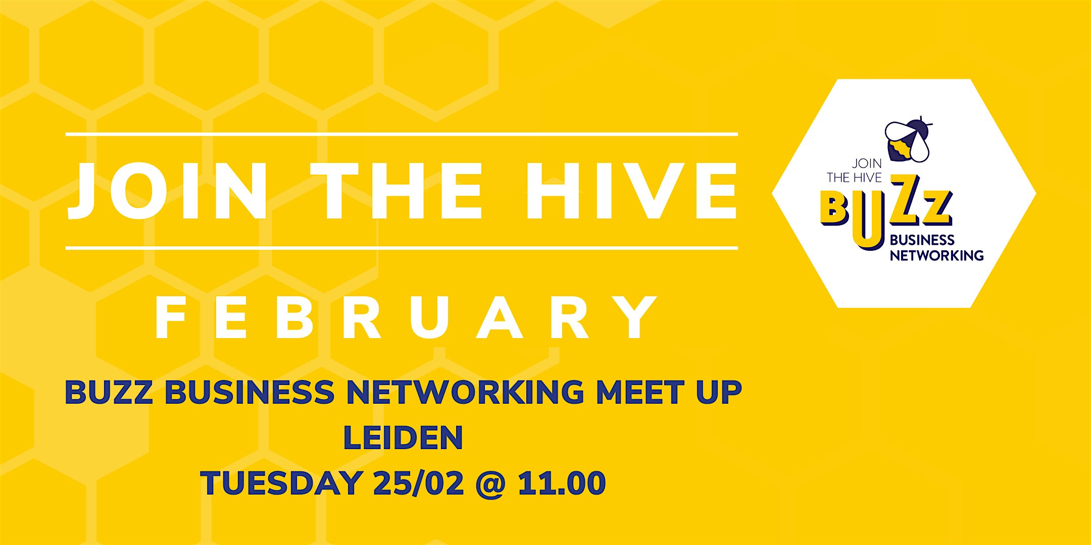 Feb 2025 Buzz Business Networking Meet Up – Leiden