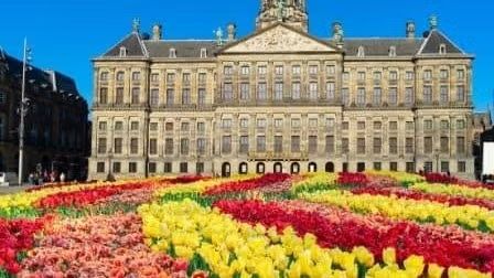 The Dutch Brainwash – 7 Day Intensive Course