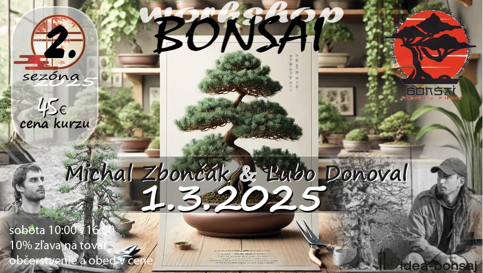 BONSAI Workshop 2.